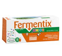 FERMENTIX JUNIOR 12FL 5MILIARD