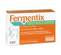 FERMENTIX PANCIA PIA GONF20CPR