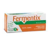 FERMENTIX 12FL 10MILIARDI
