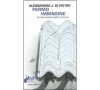 Fermo immagine. La persistenza della memoria