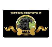Ferocity Tappetino PERSONALIZZATO con Foto e Nome | Trappola per Sporcizia Divertente per Amanti degli Animali | Tappetino Lavabile per Interni ed Esterni, casa | Design: Protettore di Cani [140]