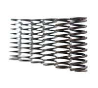 FERODO Kit Molle Frizione FSS0302 (Molle Frizione) / Spring Kits FSS0302 (Clutch Springs)