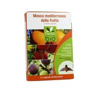 Feromone contro Mosca Mediterranea Ueber