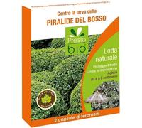 Feromone contro Piralide del Bosso Ueber