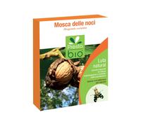 Feromone contro Verme delle Noci Ueber