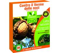 Feromoni contro il verme delle noci