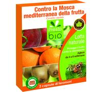 Feromoni contro la mosca mediterranea della frutta