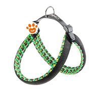 Ferplast Agila Fantasy 4 Verde - Ferplast Agila Fantasy 4 Verde - Confezione Da 1 Pezzo