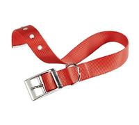 Ferplast Collare cane cani nylon fibbia metallo FERPLAST CLUB CF vari colori misure