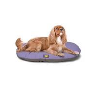 Ferplast Cuccia Cane Relax, Cuscino per cani di medie dimensioni, Cuccia Gatto, Tappetino per cucce e auto -Lavabile - in Cotone con Soffice Imbottitura, 78 x 50 m.Lilla