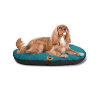 Ferplast Cuccia Cane Relax, Cuscino per cani di taglia media, Cuccia Gatto, Tappetino per cucce e auto -Lavabile - in Cotone con Soffice Imbottitura, 65 x 42 cm. Turchese