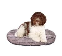 FERPLAST - Cuccia per cani e gatti - Cuscino per cani di medie dimensioni - Materassino per cani - Tappetino per cucce e auto - Morbido letto per cani - Relax, 78 x 50 CM, MARRONE