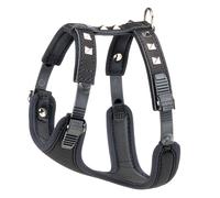 Ferplast Pettorina per Cani GIOTTO LUXOR SMALL, in Vera Pelle con Borchie Argentate