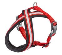 Ferplast Pettorina Cane DAYTONA CROSS, Pettorina Cane Taglia Piccola in Nylon, Imbottita, Riflettente e Regolabile. Con Fibbia Magnetica. Rossa