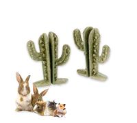 Ferplast Snack Naturale per Roditori, Criceti, Cavie e Conigli, Favorisce l’Igiene Dentale, Stimola il Gioco e offre Gusto e Benessere ogni giorno, a forma di Cactus