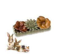 Ferplast Snack Naturale per Roditori, Criceti, Cavie e Conigli, Favorisce l’Igiene Dentale, Stimola il Gioco e offre Gusto e Benessere ogni giorno, a forma di Fiore