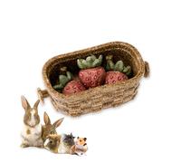 Ferplast Snack Naturale per Roditori, Criceti, Cavie e Conigli, Favorisce l’Igiene Dentale, Stimola il Gioco e offre Gusto e Benessere ogni giorno, a forma di Fragola