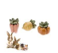 Ferplast Snack Naturale per Roditori, Criceti, Cavie e Conigli, Favorisce l’Igiene Dentale, Stimola il Gioco e offre Gusto e Benessere ogni giorno, a forma di Bacca