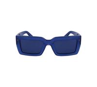 Ferragamo, ,Accessories ,Donna ,Blu ,ONE SIZE Sf1108S542142 Occhiali da sole