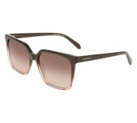 Ferragamo Donna Ferragamo SF2102S 234 Occhiali da sole Acetato Marrone Squadrata Normale