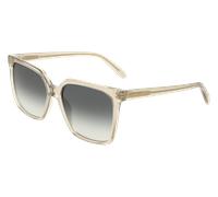 Ferragamo Donna Ferragamo SF2102S 313 Occhiali da sole Acetato Verde Squadrata Normale