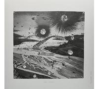 Ferrari,Luc - Labyrinthe De Violence