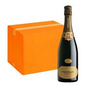 Ferrari Trentodoc Brut Perle Classico (6 Bottiglie)