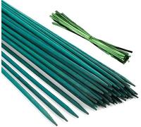 Ferrarium Bastoncini di bambù verdi 50 cm - Bastoncini di bambù di alta qualità per supporto piante - Set da 50 pezzi, diametro 5,5 mm