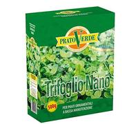 Ferri Sementi - Trifoglio nano per prato 500 gr.