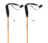 Bastoncini Ferrino Stick Eiger 115 cm (coppia)