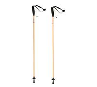 Ferrino Eiger, Bastoncini da Trekking Unisex