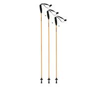 Ferrino Eiger, Bastoncini da Trekking Unisex