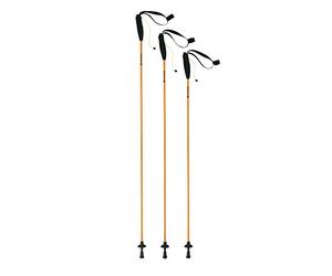 Ferrino Eiger, Bastoncini da Trekking Unisex