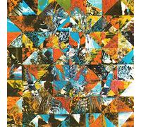 Ferrio, Nick - Amongst The Coyotes Andbirdsongs