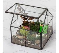 Ferrisland Terrario in vetro Wardian per piante grasse, piccolo vaso per piante grasse, con porta, decorazione da tavolo, regalo fai da te, 12,7 x 10,9 x 10,9 cm