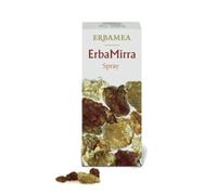 Erbamea Ferro Natura – Sciroppo concentrato con Ferro, acido folico e Vitamina B12 – 200 ml