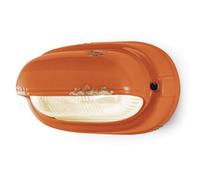 FerroLuce Applique da parete da esterni dal design industrial con diffusore in c [EEK: A]