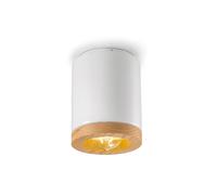 FerroLuce faretto da soffitto in stile industrial con diffusore a cilindro di ce [EEK: A]