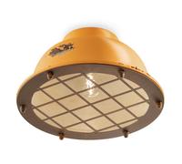 FerroLuce Plafoniera da soffitto in stile industrial con diffusore in ceramica c [EEK: A]
