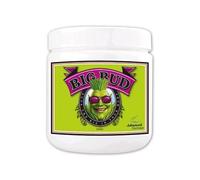 Fertilizzante booster fioritura fiori densi advanced nutrients big bud powder