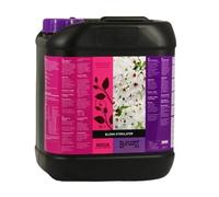 Fertilizzante fioritura piante booster pk liquido atami b’cuzz bloom stimulator