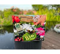 Difesa Dalle Talpe, Anti Talpe , Repellente per Originale Mediterrano 10 KG