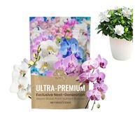 Fertilizzante Per Piante Da Interno - Nutrienti Vegetali In Polvere | Miglioratore Del Terreno Stimolante Della Fioritura Cura Giardinaggio Per Fiori Giardino Vegetali Crescita Vigorosa