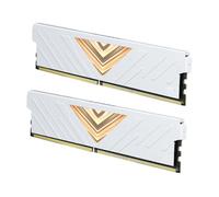 Fesjoy Memoria Desktop DDR5 Kit Doppio Canale da 32 GB 5600 MHz XMP 3.0 | ECC On-die, Controllo PMIC, PC da Gioco, compatibilità Desktop, Supporto XMP, RAM del Computer, Due Moduli da 16 GB
