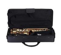 Fesjoy Sassofono Mib Alto Squisito Sax Mi Bemolle Laccato in Ottone Dorato per Principianti con Accessori per la Pulizia e Custodia Imbottita Studenti/Principianti