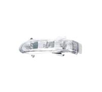 FESOKSEJ Specchietto Retrovisore Indicatori Direzione Per Benz Classe S W220 1999-2002 Per CL W215 1999 2000-2003 Luce Direzione A LED Per Specchietto Retrovisore Auto