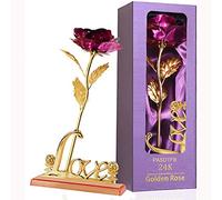 Festa della Mamma Idee Regalo 24k Oro Rosa Eterna Regalo Donna Compleanno Rosa Stabilizzata con Supporto Regalo Amica Compleanno Regalo Mamma Fidanzata Coppia Regali per Lei Anniversario Matrimonio