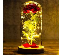 Festa della Mamma Idee Regalo Rosa Eterna Regalo Donna Compleanno Rose Bella e la Bestia Rose Incantate in Cupola Vetro con Luci LED Regalo Mamma Amica Nonna Fidanzata Suocera Anniversario Matrimonio