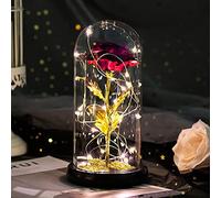 Festa della Mamma Idee Regalo Rosa Eterna Regalo Donna Compleanno Rose Bella e la Bestia Rose Incantate in Cupola Vetro con Luci LED Regalo Mamma Amica Nonna Fidanzata Suocera Anniversario Matrimonio