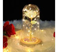 Festa Della Mamma Rosa Stabilizzata Vera, Regalo per Lei Donna Mamma Fidanzata Rosa Eterna in cupola di vetro con luce a LED per San Valentino, Natale, giorno del ringraziamento